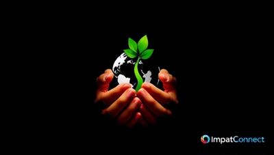 An emotionally compelling image of a brand logo intertwined with a symbolic representation of a social cause, such as hands holding a globe or a tree growing from a heart, illustrating the connection and impact of purpose-driven marketing initiatives facilitated by ImpactConnect.