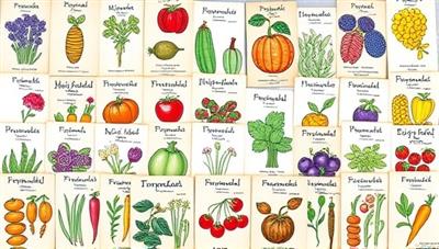 An artistic collage of colorful, hand-drawn heirloom seed packets arranged in a visually appealing display, highlighting the unique and diverse varieties offered on the online marketplace for rare heirloom seeds.