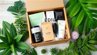 An artistic flat lay photograph of a beautifully arranged subscription box filled with eco-friendly tech accessories, surrounded by lush greenery and natural elements, evoking a sense of sustainability and modern technology integration.