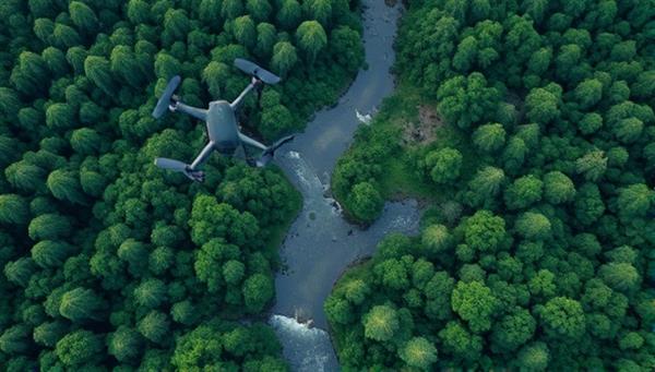 An aerial view captured by a drone showcasing a lush forest landscape with wildlife, rivers, and vegetation, demonstrating the high-resolution monitoring capabilities of EcoWatch Drones for environmental conservation and biodiversity research.