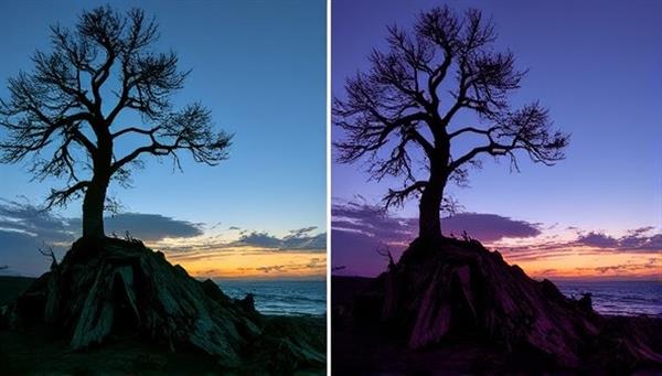 A split-screen comparison showing a raw photo on one side and the same photo transformed by an artistic filter from the app on the other side, highlighting the dramatic visual impact and creative possibilities of using ArtifyLens filters.