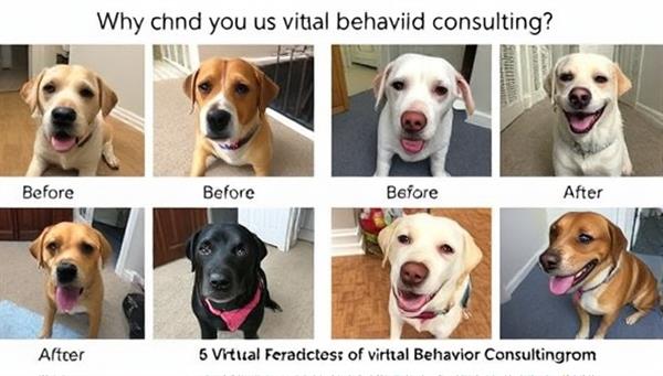 A series of before-and-after images showcasing pets with behavioral issues and their positive transformations after virtual behavior consulting, highlighting the effectiveness of the service.